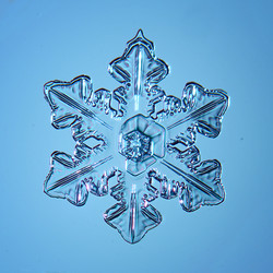 Similar image 10578269