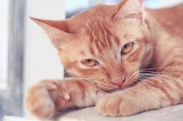 Similar image 10578296