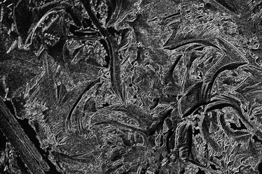 Similar image 10578301