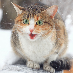 Similar image 10578311