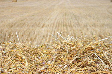 Similar image 10578313