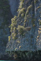 Similar image 10578314