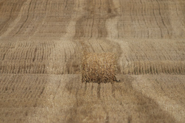 Similar image 10578315