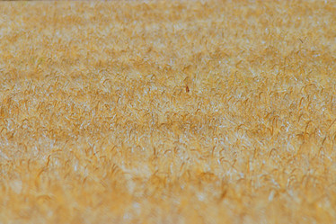 Similar image 10578344