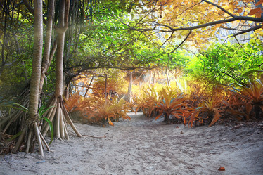 Similar image 10578347