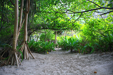 Similar image 10578348