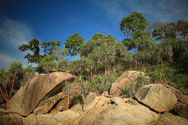 Similar image 10578351