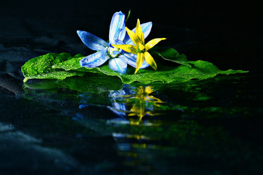 Similar image 10578356