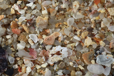 Similar image 10578383