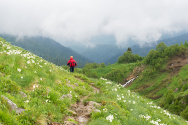 Similar image 10584074