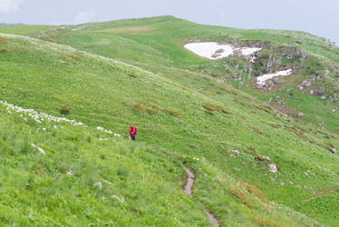 Similar image 10584111