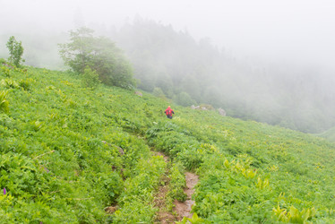 Similar image 10584115