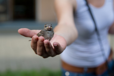 Similar image 10585287