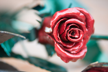 Similar image 10585393