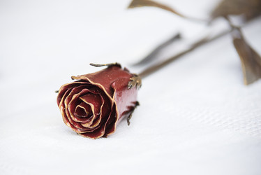 Similar image 10585396