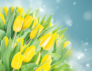 Similar image 10585433