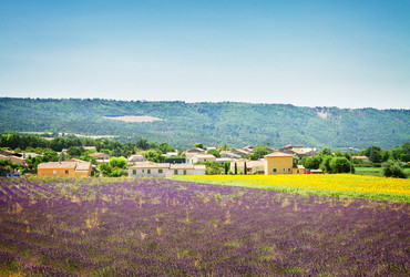 Similar image 10585435