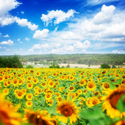 Similar image 10585436