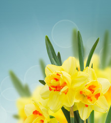 Similar image 10585464