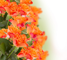 Similar image 10585465