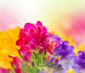 Similar image 10585466