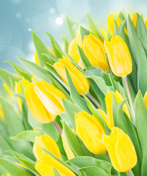 Similar image 10585468