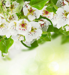 Similar image 10585469