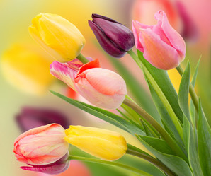 Similar image 10585474