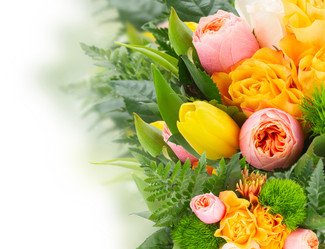 Similar image 10585476