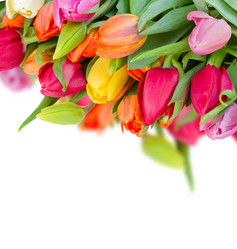 Similar image 10585477