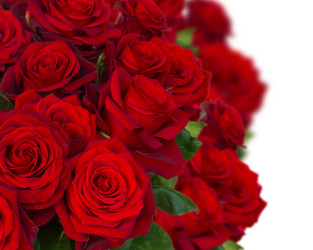 Similar image 10585483