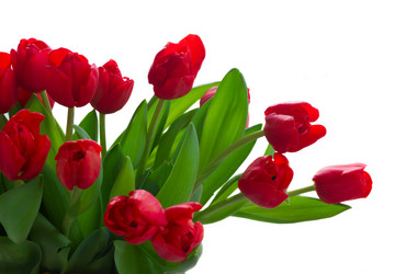 Similar image 10585490