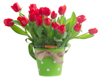 Similar image 10585491