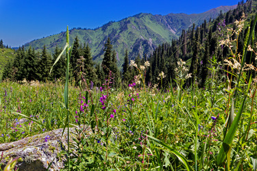 Similar image 10585555