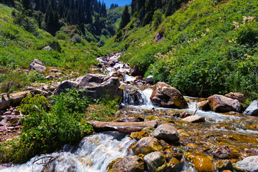 Similar image 10585556