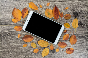 Similar image 10585575