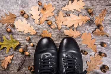 Similar image 10585579