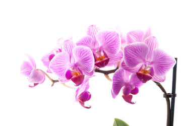 Similar image 10585617