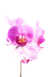 Similar image 10585665