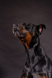 Similar image 10585743