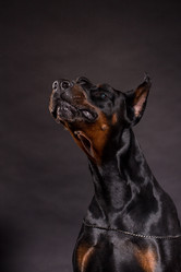 Similar image 10585745