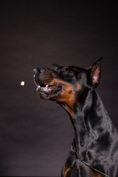 Similar image 10585746