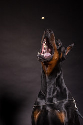 Similar image 10585747