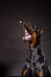 Similar image 10585749