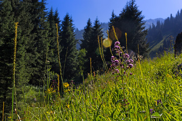 Similar image 10585756