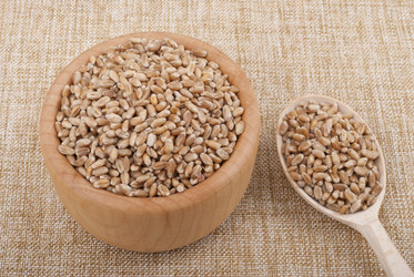 Similar image 10590699