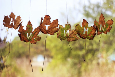 Similar image 10591382