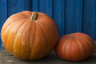 Similar image 10591384