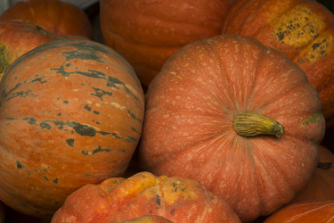 Similar image 10591385