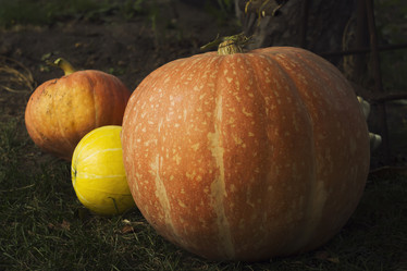 Similar image 10591386